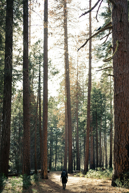 National Forest Community Project