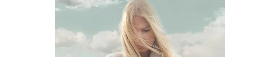 On The Bookshelf - Michelle Bray