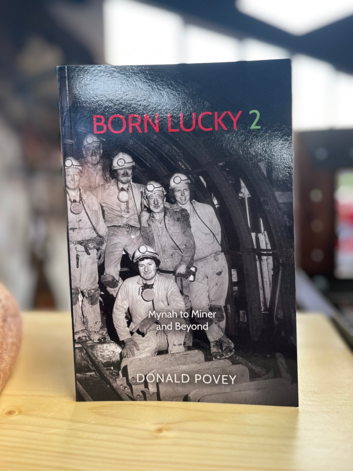 Born Lucky 2 - Mynah to Miner and Beyond