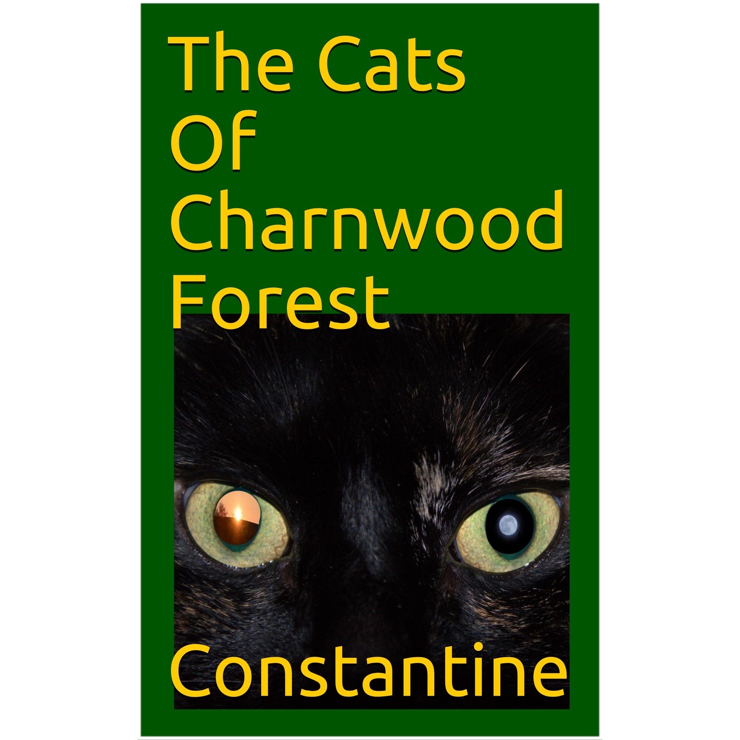 Cats of Charnwood