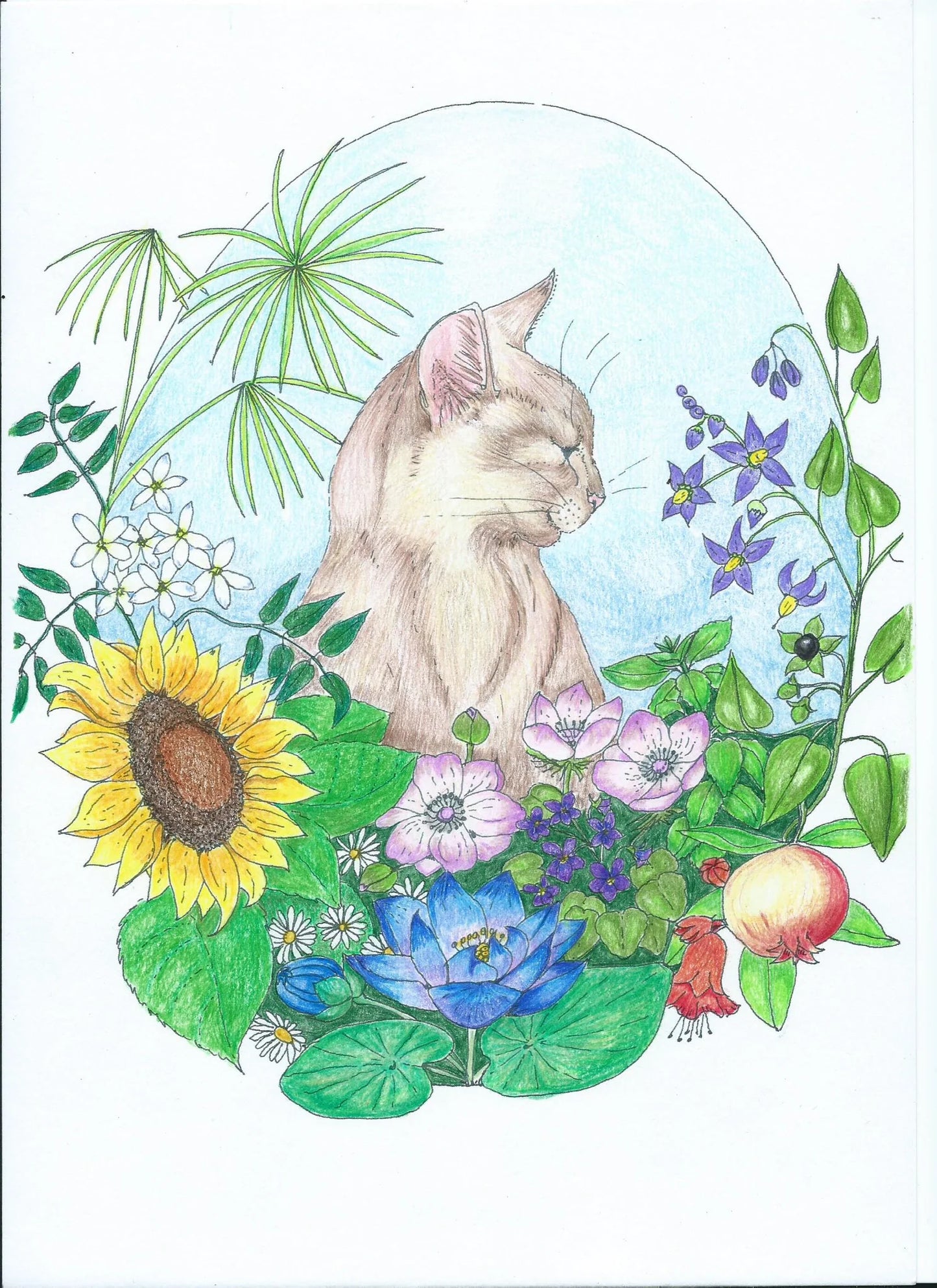 'Egypt Bound with Elegant Edwin' - A Storybook Colouring Experience for Children and Grown-ups