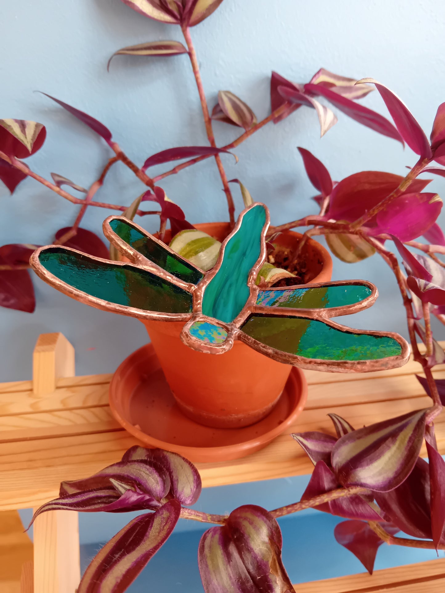 Pot Plant decoration