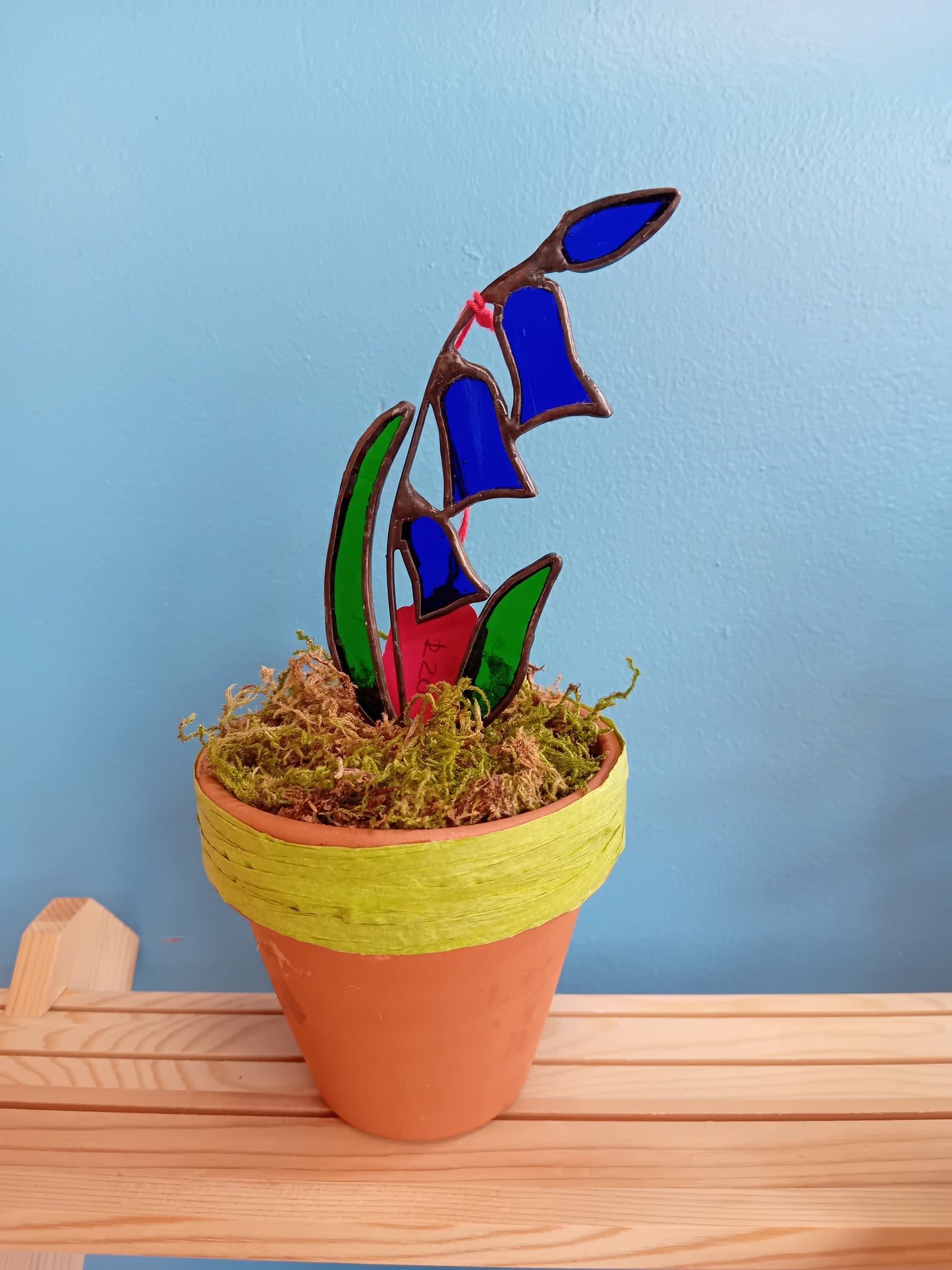 Bluebell Pot