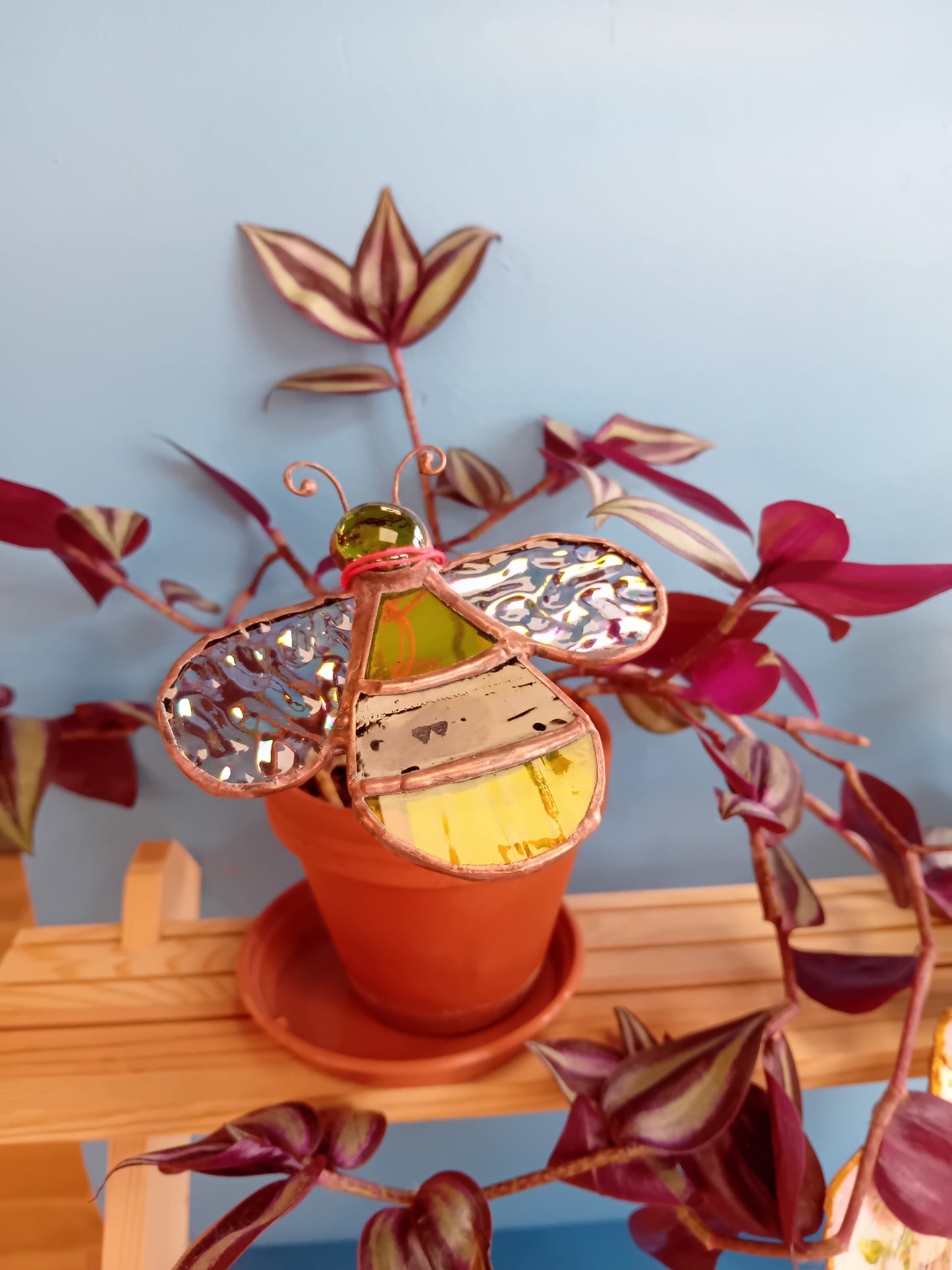 Pot Plant decoration