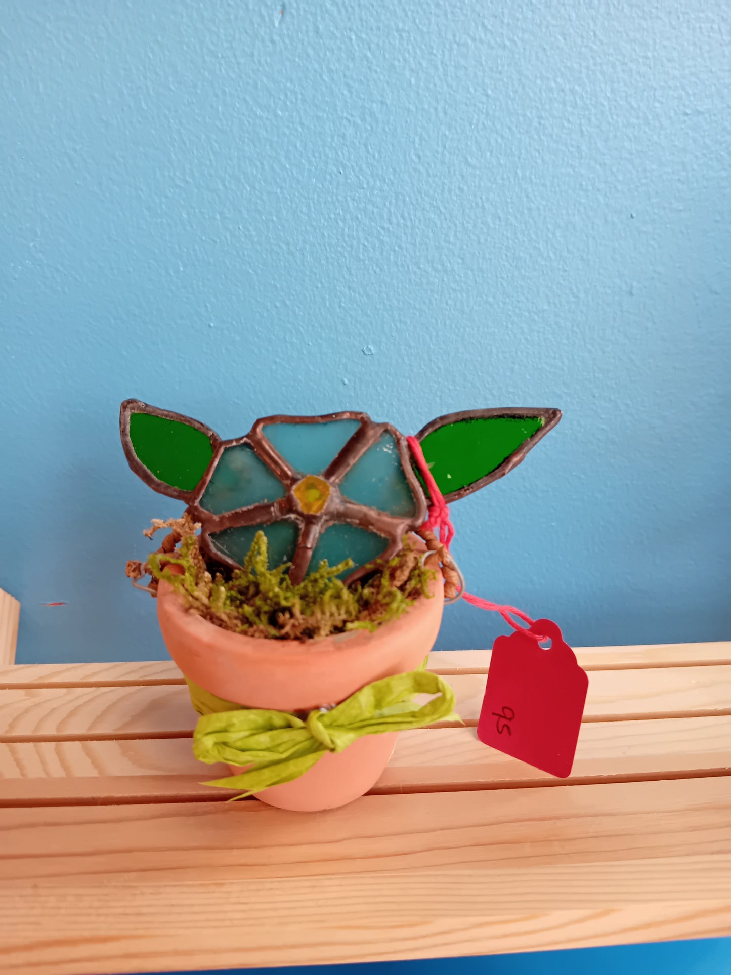 Small Forget Me Not Flower in pot