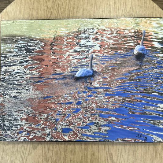 ‘Two swans going away’ - Photo on Canvas