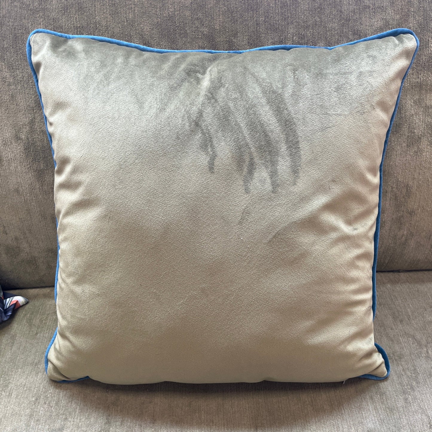 Square Zebra Cushion