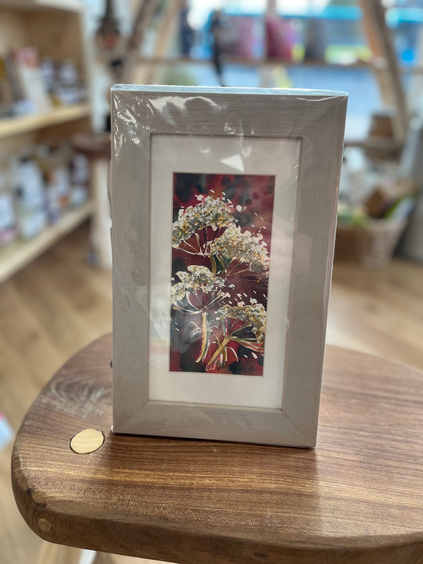 Cow Parsley Flowers - Watercolour