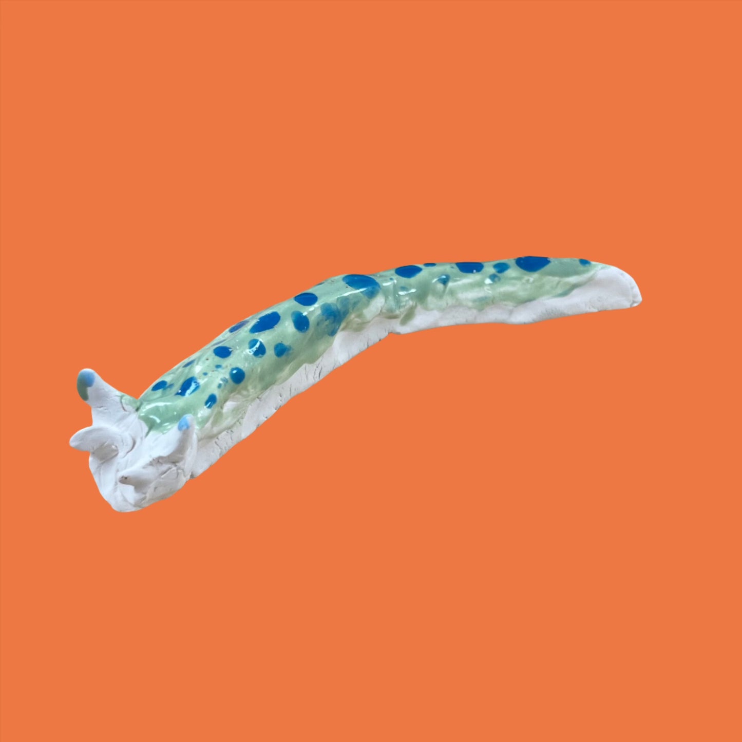 Ceramic Slug