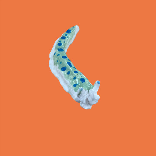 Ceramic Slug