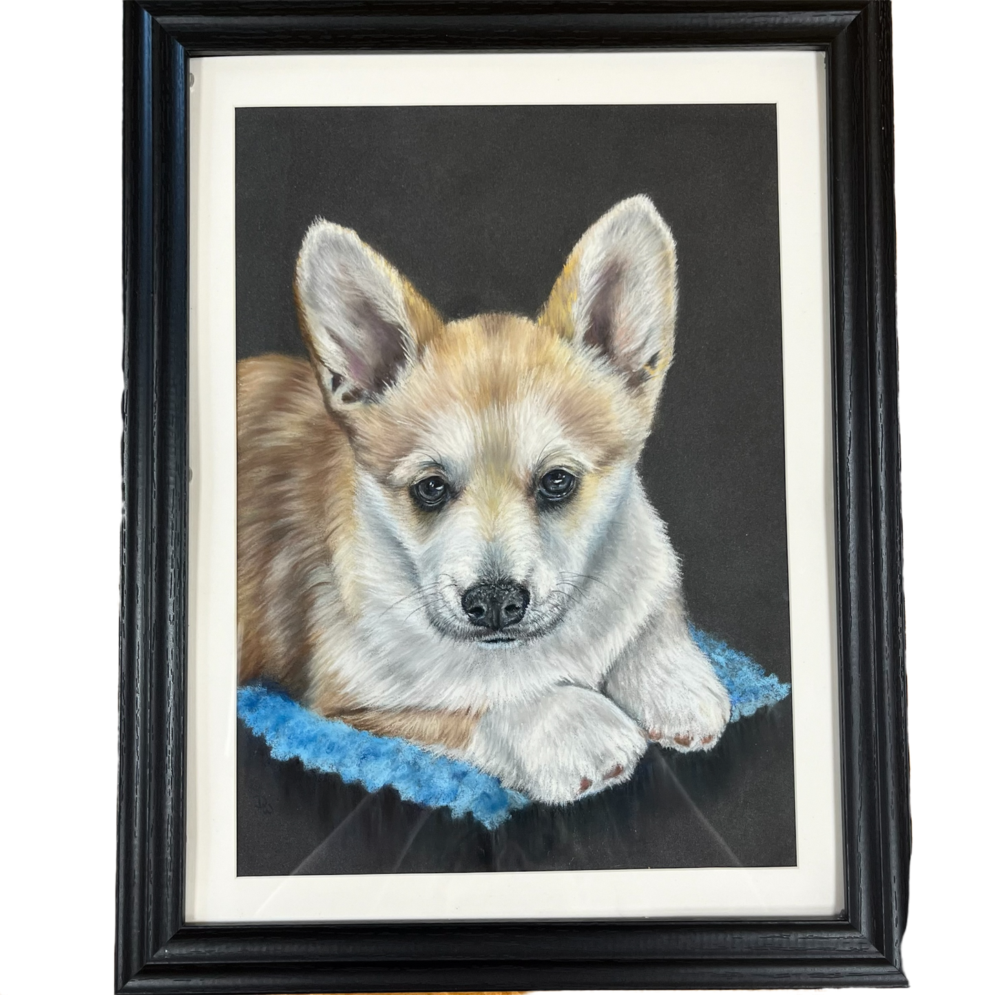 ‘Welsh Corgi’ - Pastel