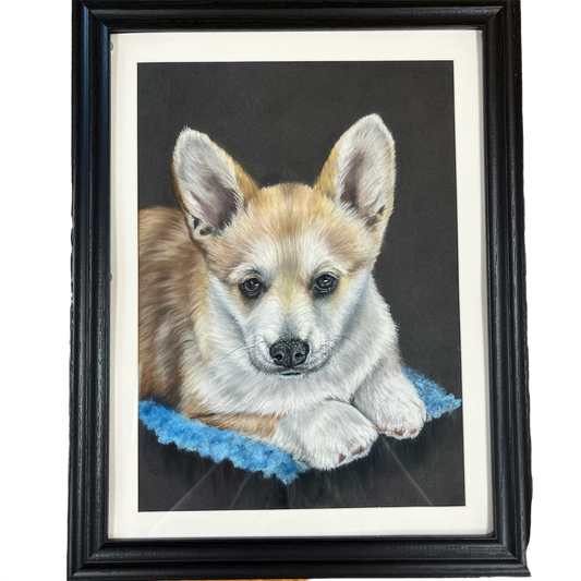 ‘Welsh Corgi’ - Pastel