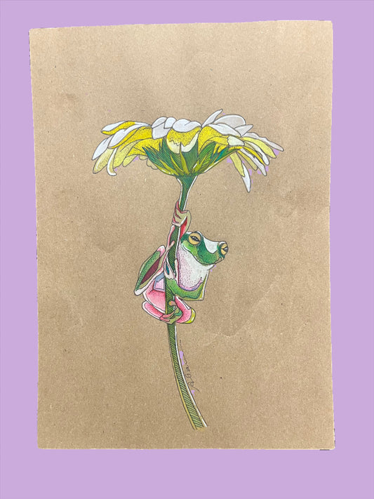 ‘Frog on a Flower’ - Mixed Media