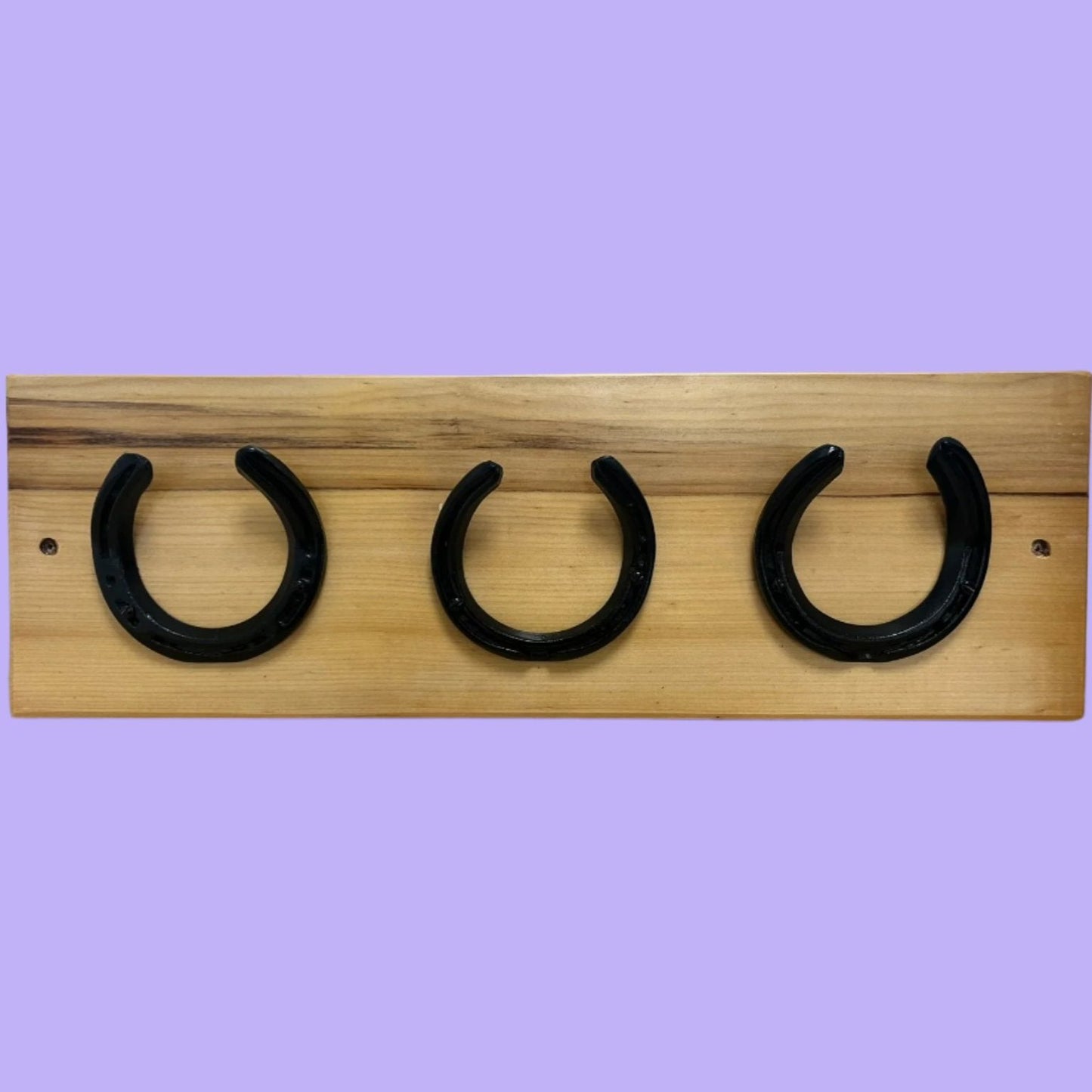 Horseshoe Coat Hooks