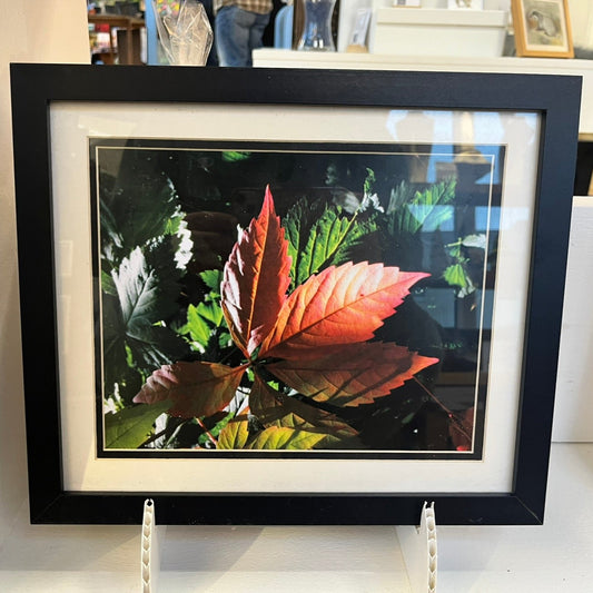 'Autumn' - Framed Photo Prints