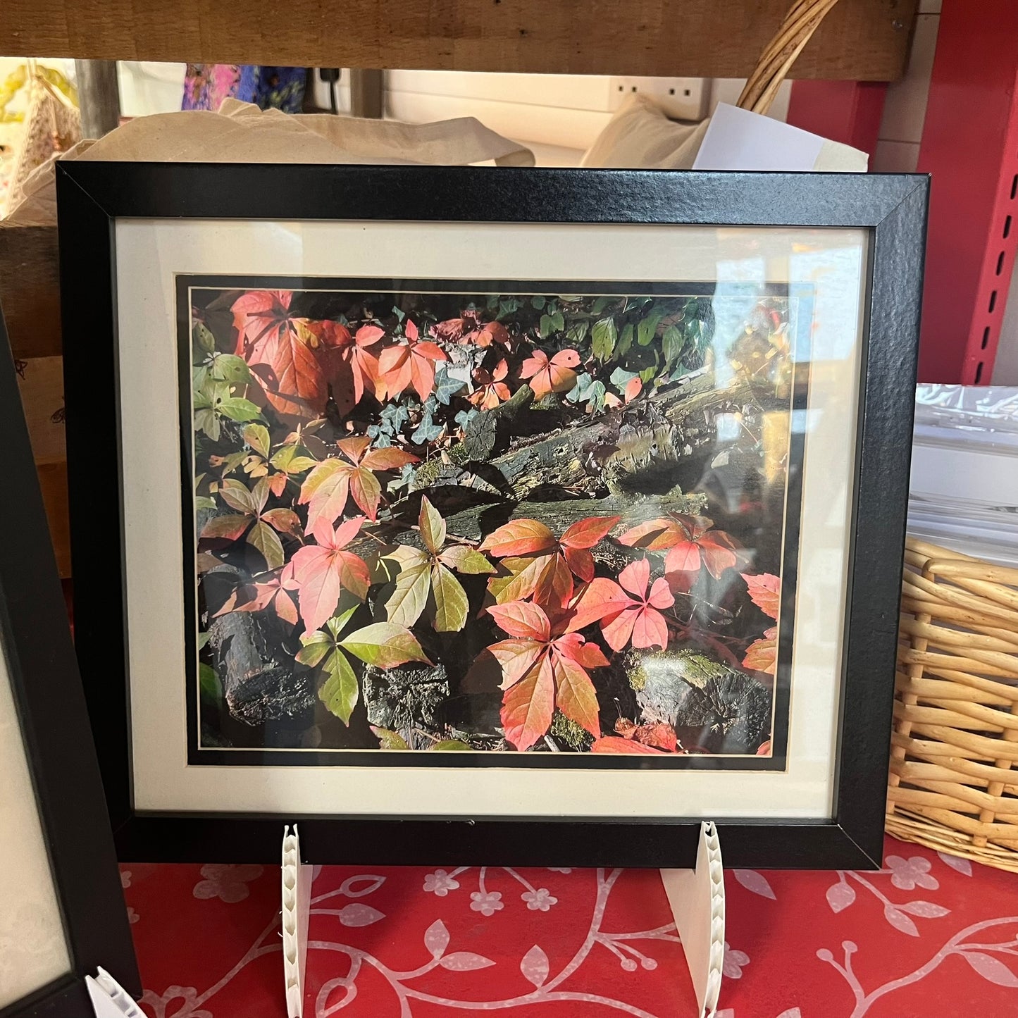 'Autumn' - Framed Photo Prints