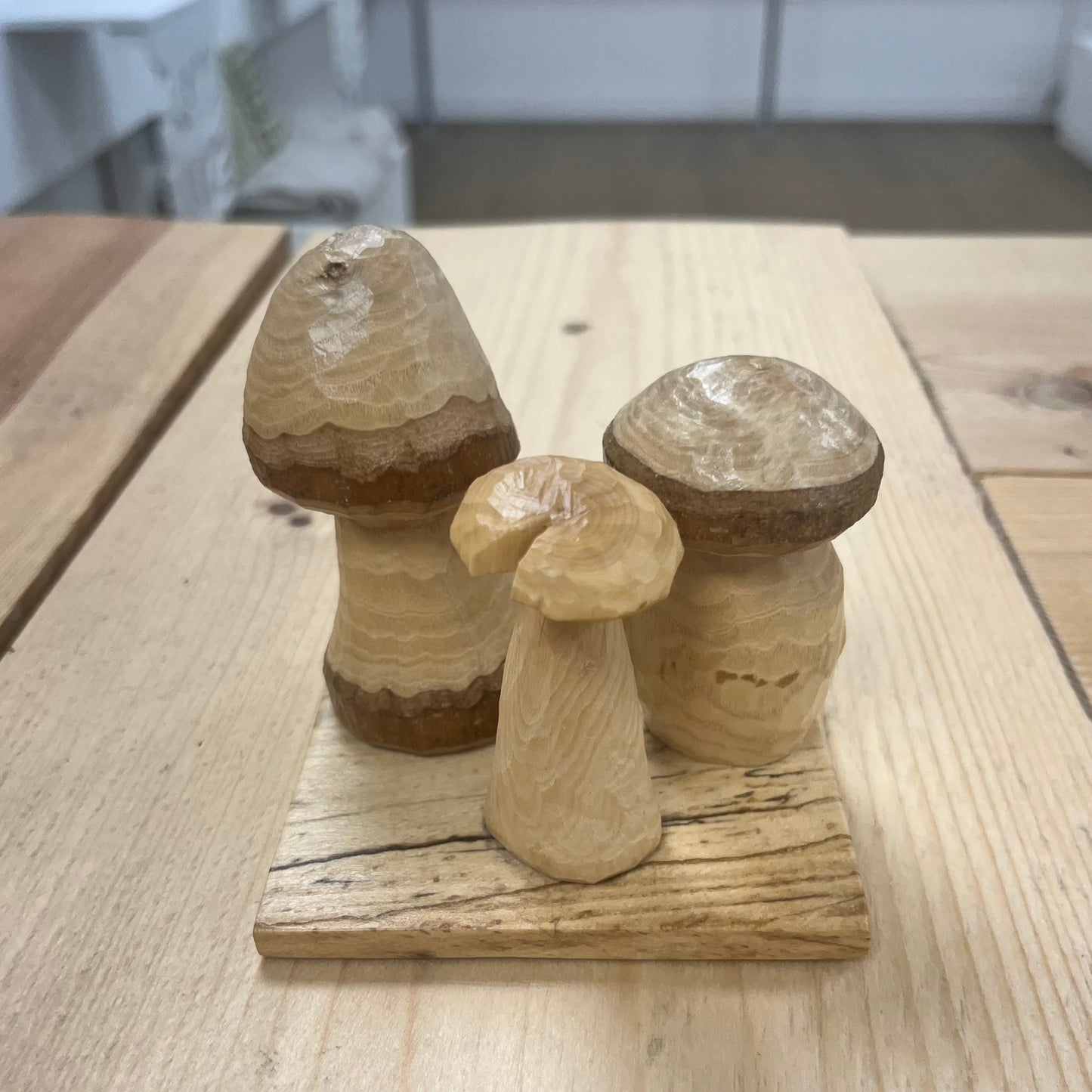 Set of 3 Wooden Toadstools