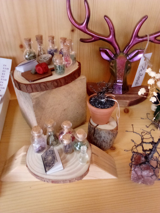 Potion Model Display - Curious Crow